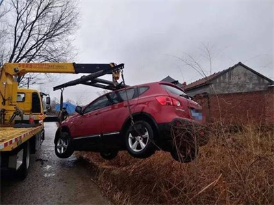 桃江楚雄道路救援